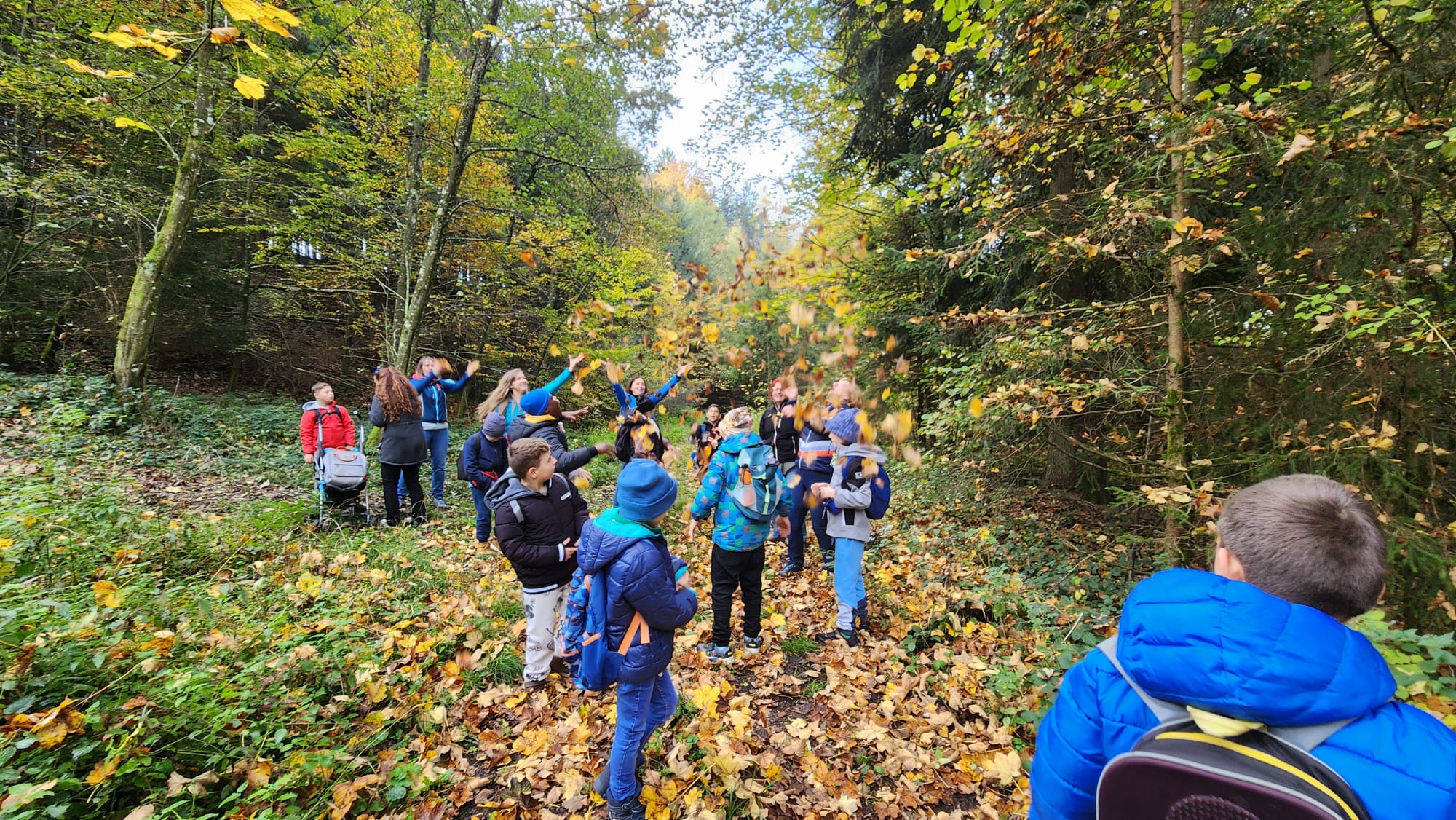 Herbstwanderung Förderklassen